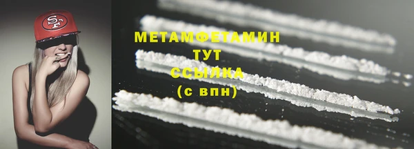 прущие грибы Белокуриха