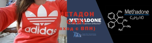 прущие грибы Белокуриха