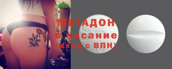 прущие грибы Белокуриха