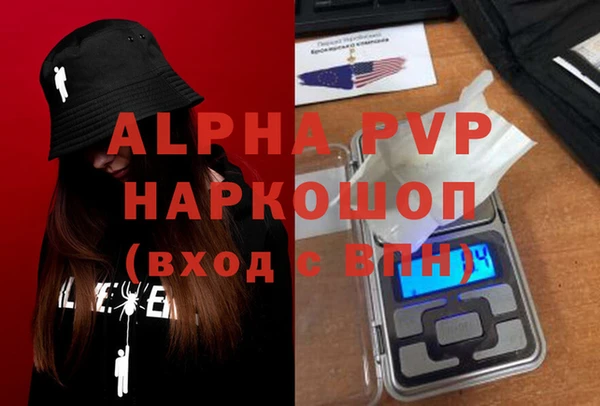 прущие грибы Белокуриха
