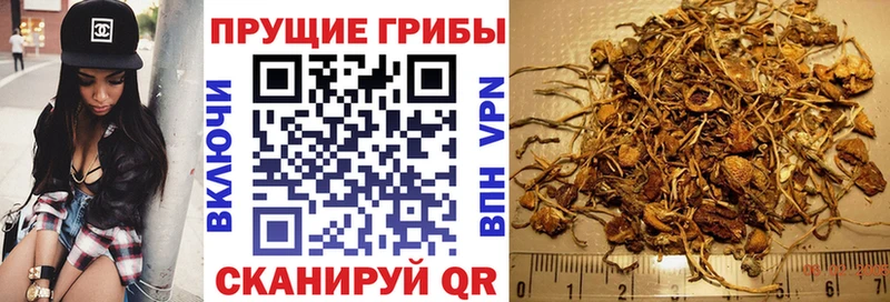 кракен сайт  Богданович  shop официальный сайт  Галлюциногенные грибы Magic Shrooms 